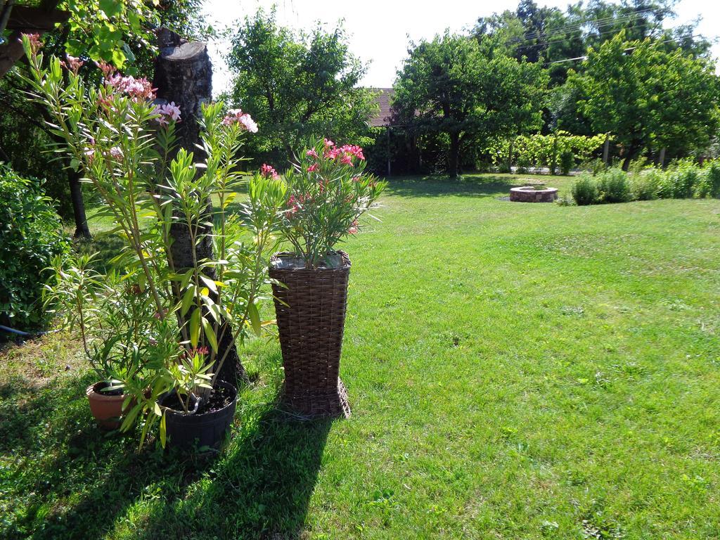 Fueloep Villa Apartmanhaz Balatonszepezd Exteriér fotografie